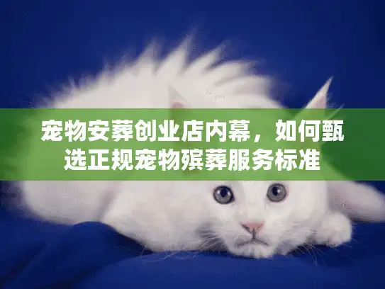 宠物安葬创业店内幕，如何甄选正规宠物殡葬服务标准