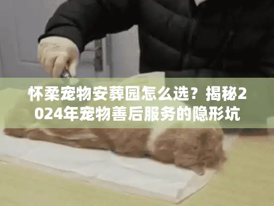 怀柔宠物安葬园怎么选？揭秘2024年宠物善后服务的隐形坑