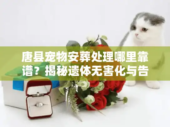 唐县宠物安葬处理哪里靠谱？揭秘遗体无害化与告别仪式真相