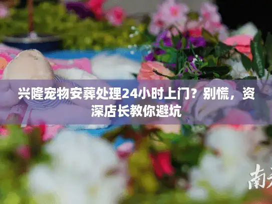 兴隆宠物安葬处理24小时上门？别慌，资深店长教你避坑