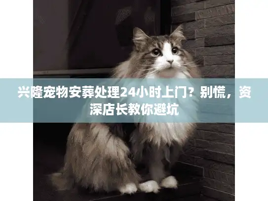 兴隆宠物安葬处理24小时上门？别慌，资深店长教你避坑
