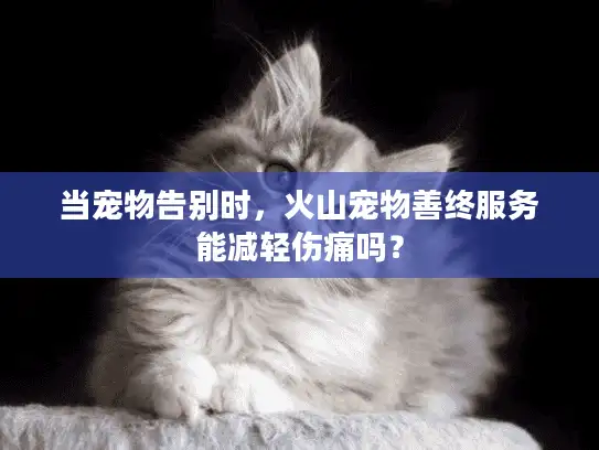 当宠物告别时，火山宠物善终服务能减轻伤痛吗？