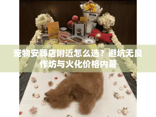 宠物安葬店附近怎么选？避坑无良作坊与火化价格内幕