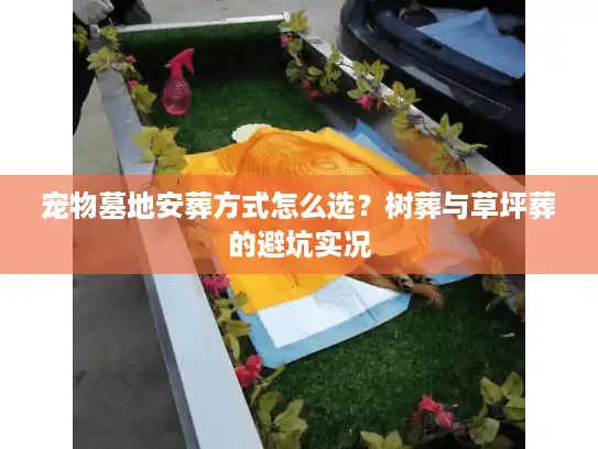 宠物墓地安葬方式怎么选？树葬与草坪葬的避坑实况