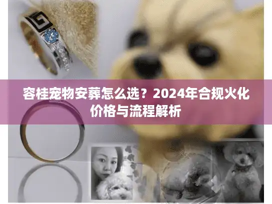 容桂宠物安葬怎么选？2024年合规火化价格与流程解析