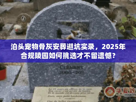 泊头宠物骨灰安葬避坑实录，2025年合规陵园如何挑选才不留遗憾？