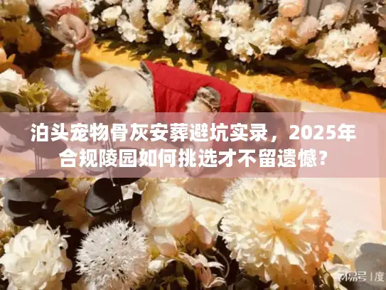泊头宠物骨灰安葬避坑实录，2025年合规陵园如何挑选才不留遗憾？
