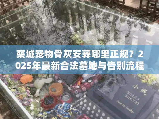 栾城宠物骨灰安葬哪里正规？2025年最新合法墓地与告别流程