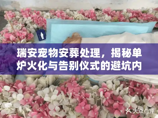 瑞安宠物安葬处理，揭秘单炉火化与告别仪式的避坑内幕