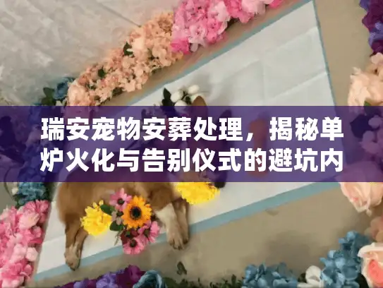 瑞安宠物安葬处理，揭秘单炉火化与告别仪式的避坑内幕