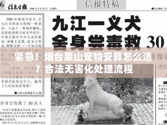 紧急！烟台莱山宠物安葬怎么选？合法无害化处理流程