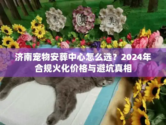 济南宠物安葬中心怎么选？2024年合规火化价格与避坑真相
