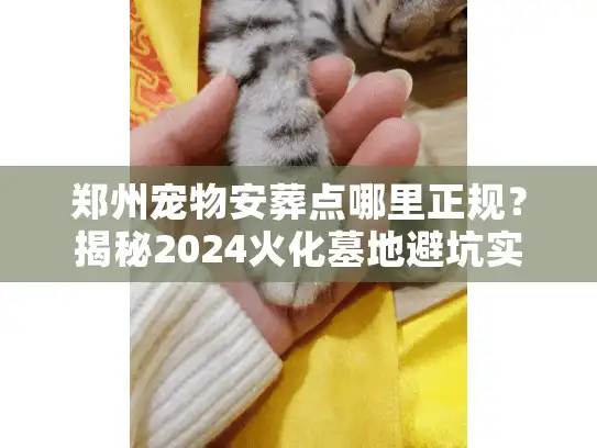 郑州宠物安葬点哪里正规？揭秘2024火化墓地避坑实情