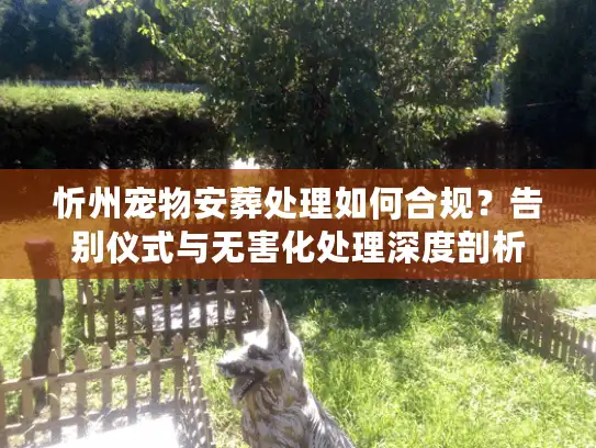 忻州宠物安葬处理如何合规？告别仪式与无害化处理深度剖析