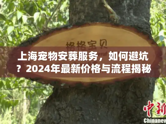 上海宠物安葬服务，如何避坑？2024年最新价格与流程揭秘