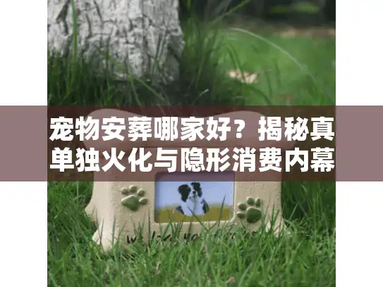 宠物安葬哪家好？揭秘真单独火化与隐形消费内幕