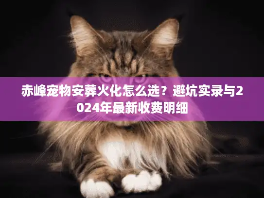 赤峰宠物安葬火化怎么选？避坑实录与2024年最新收费明细