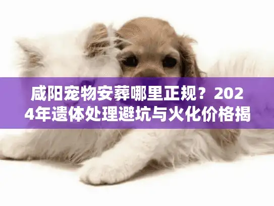 咸阳宠物安葬哪里正规？2024年遗体处理避坑与火化价格揭秘