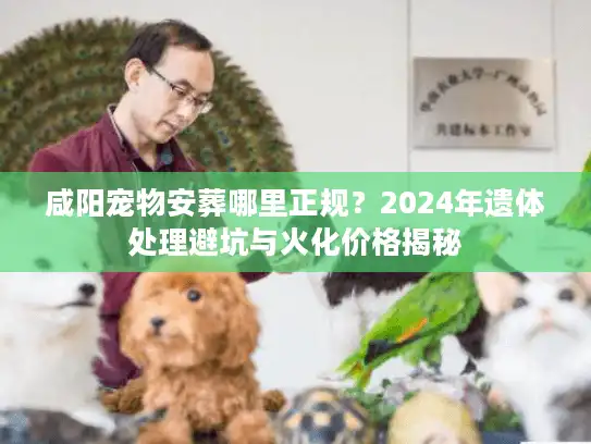 咸阳宠物安葬哪里正规？2024年遗体处理避坑与火化价格揭秘