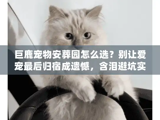 巨鹿宠物安葬园怎么选？别让爱宠最后归宿成遗憾，含泪避坑实录