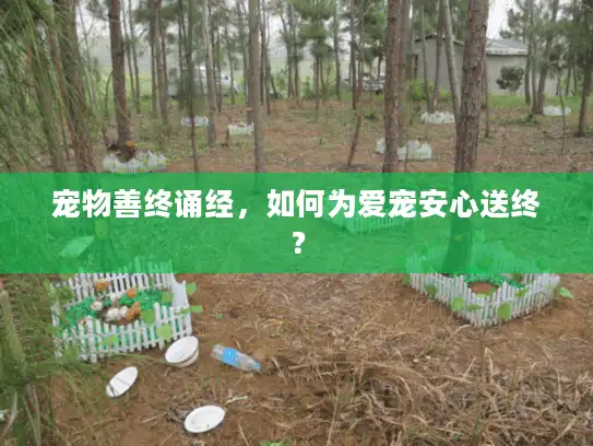 宠物善终诵经，如何为爱宠安心送终？