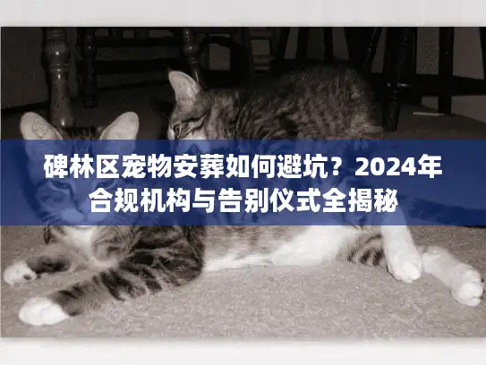 碑林区宠物安葬如何避坑？2024年合规机构与告别仪式全揭秘