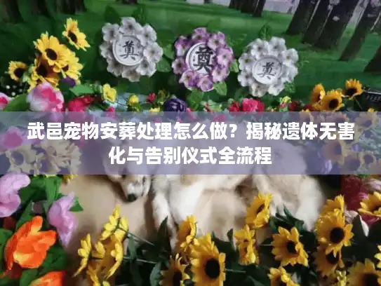武邑宠物安葬处理怎么做？揭秘遗体无害化与告别仪式全流程