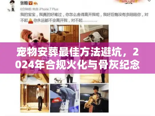宠物安葬最佳方法避坑，2024年合规火化与骨灰纪念全案