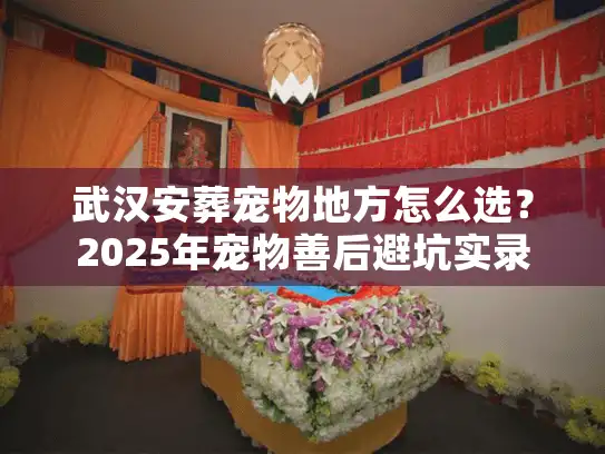 武汉安葬宠物地方怎么选？2025年宠物善后避坑实录