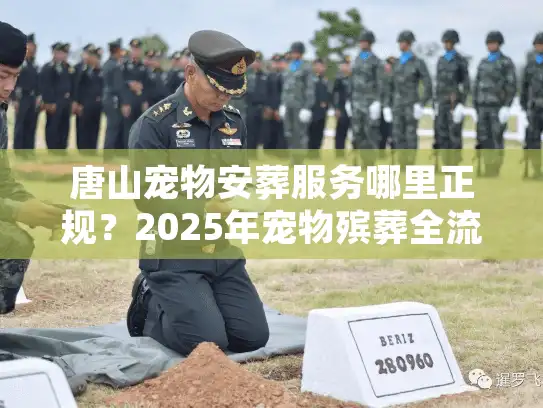唐山宠物安葬服务哪里正规？2025年宠物殡葬全流程与骨灰处理内幕