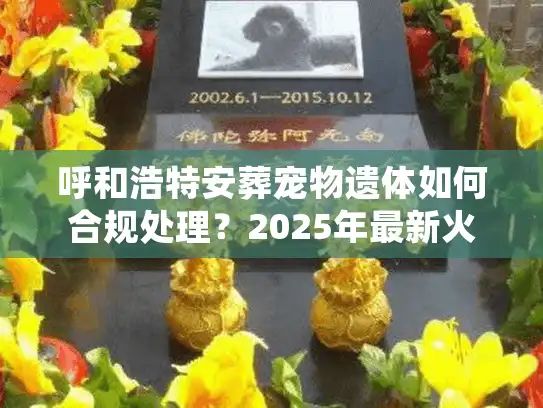 呼和浩特安葬宠物遗体如何合规处理？2025年最新火化价格与避坑