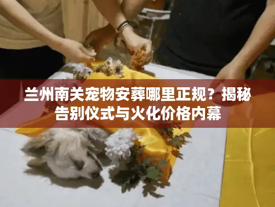 兰州南关宠物安葬哪里正规？揭秘告别仪式与火化价格内幕