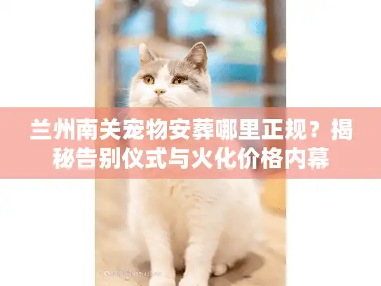 兰州南关宠物安葬哪里正规？揭秘告别仪式与火化价格内幕