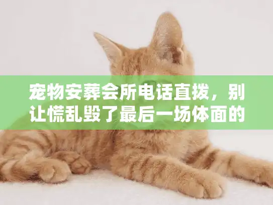 宠物安葬会所电话直拨，别让慌乱毁了最后一场体面的告别