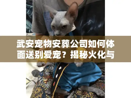 武安宠物安葬公司如何体面送别爱宠？揭秘火化与善后细节