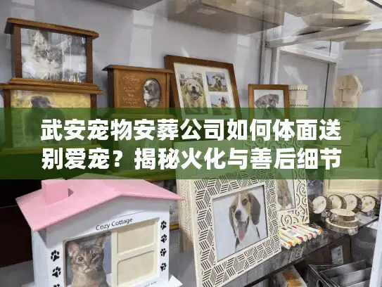武安宠物安葬公司如何体面送别爱宠？揭秘火化与善后细节
