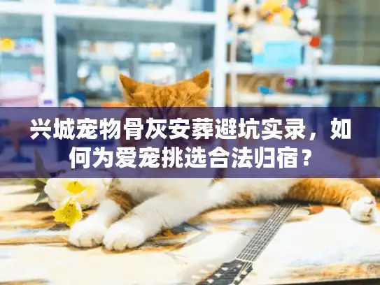 兴城宠物骨灰安葬避坑实录，如何为爱宠挑选合法归宿？