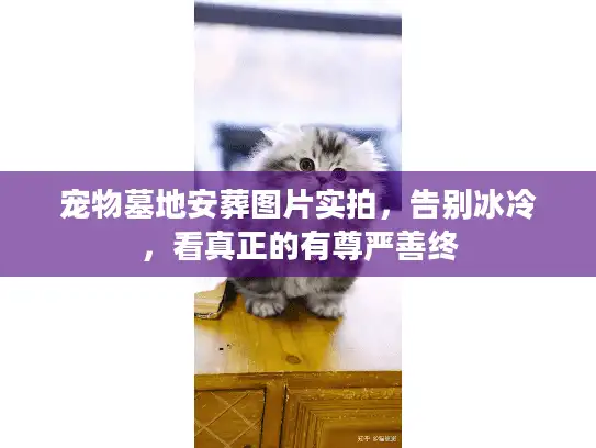 宠物墓地安葬图片实拍，告别冰冷，看真正的有尊严善终