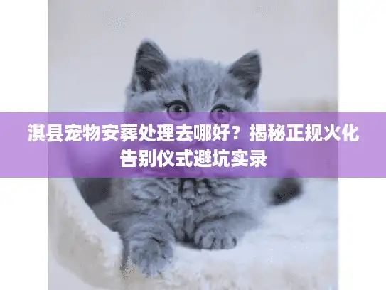淇县宠物安葬处理去哪好？揭秘正规火化告别仪式避坑实录