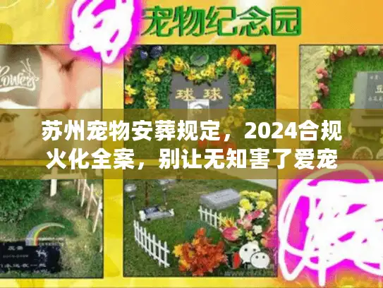 苏州宠物安葬规定，2024合规火化全案，别让无知害了爱宠