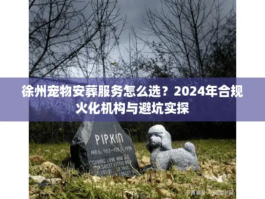 徐州宠物安葬服务怎么选？2024年合规火化机构与避坑实探