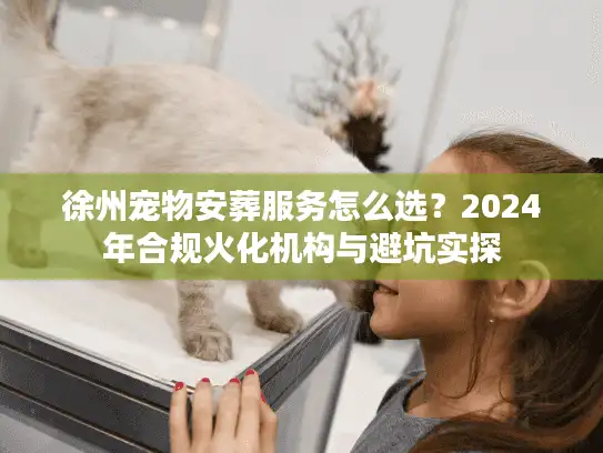 徐州宠物安葬服务怎么选？2024年合规火化机构与避坑实探