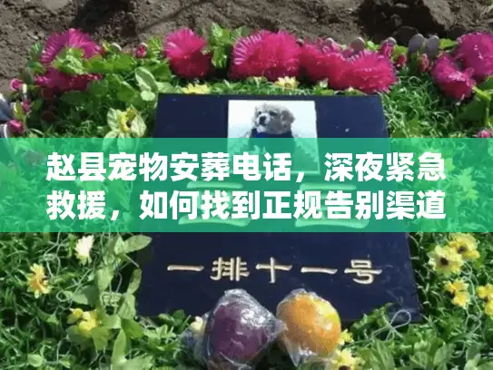 赵县宠物安葬电话，深夜紧急救援，如何找到正规告别渠道？