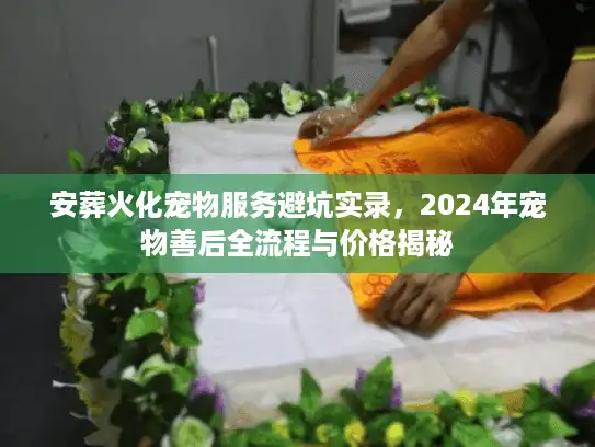 安葬火化宠物服务避坑实录，2024年宠物善后全流程与价格揭秘