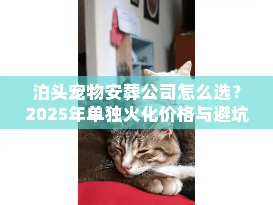 泊头宠物安葬公司怎么选？2025年单独火化价格与避坑内幕