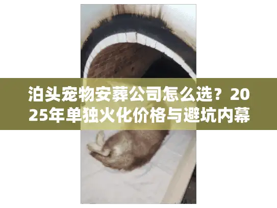 泊头宠物安葬公司怎么选？2025年单独火化价格与避坑内幕
