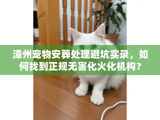 漳州宠物安葬处理避坑实录，如何找到正规无害化火化机构？