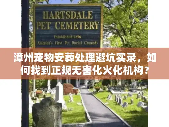 漳州宠物安葬处理避坑实录，如何找到正规无害化火化机构？