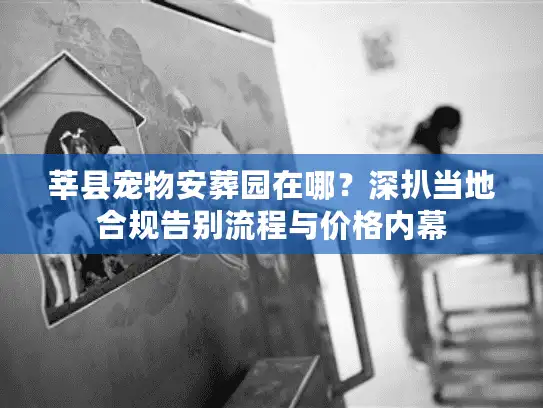 莘县宠物安葬园在哪？深扒当地合规告别流程与价格内幕