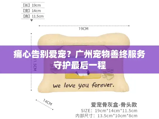 痛心告别爱宠？广州宠物善终服务守护最后一程
